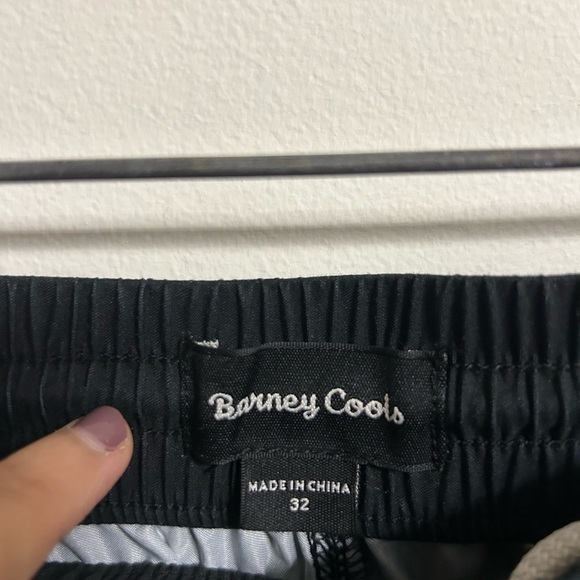 Barney Cools Swim Trunks - Picture 4 of 4